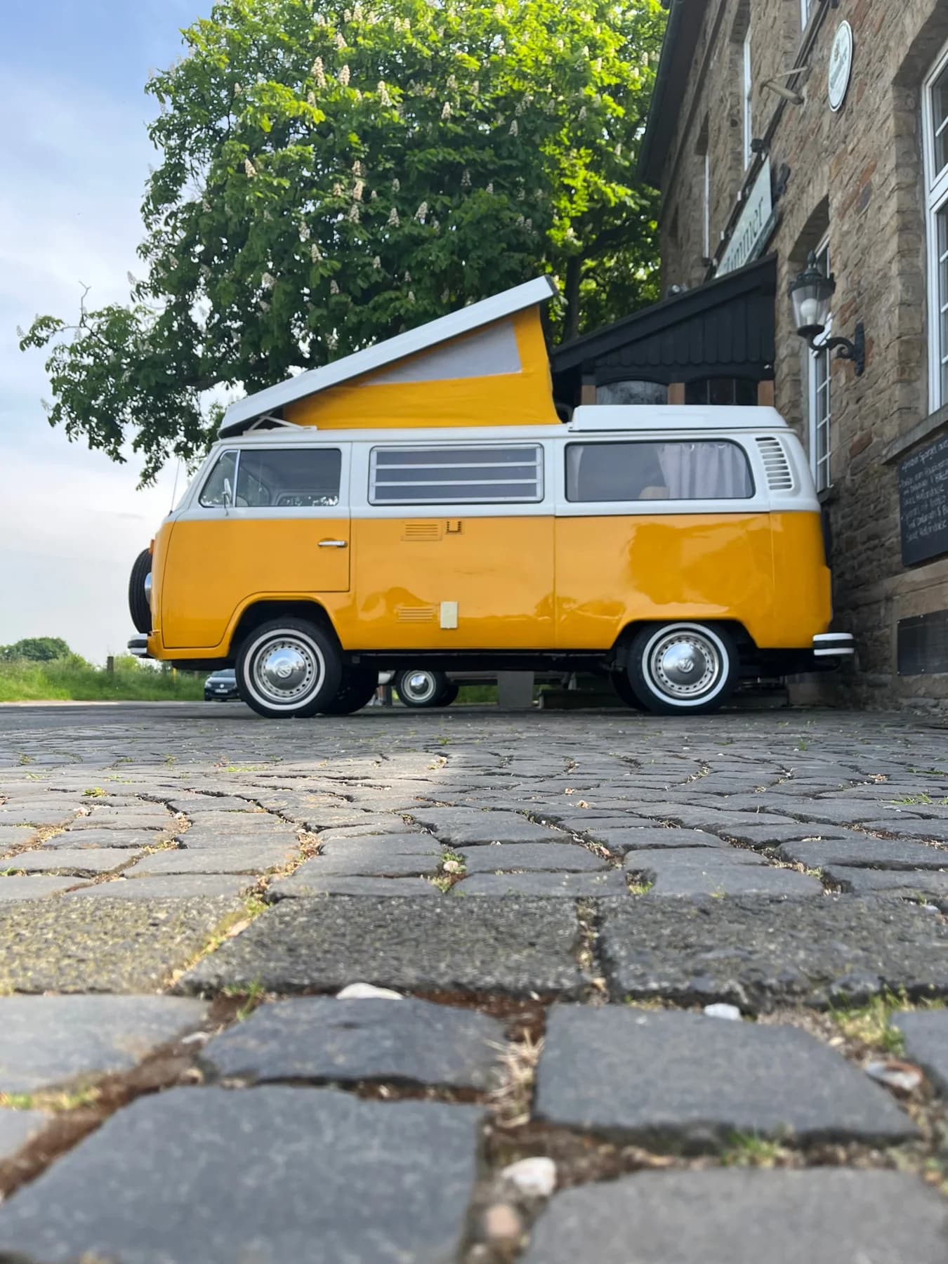 Gelb weißer VW Bulli Chantal im Grünen